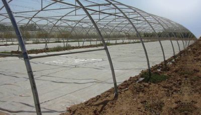 Nylon-soil-disinfectant-400x229