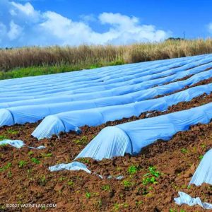 Stretch-Nylon-Vazin-11