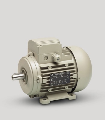 Electro Motor Three Phase